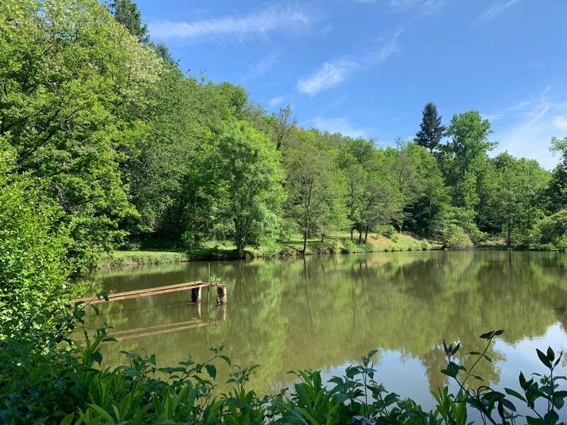 Terrain à PRESSIGNAC