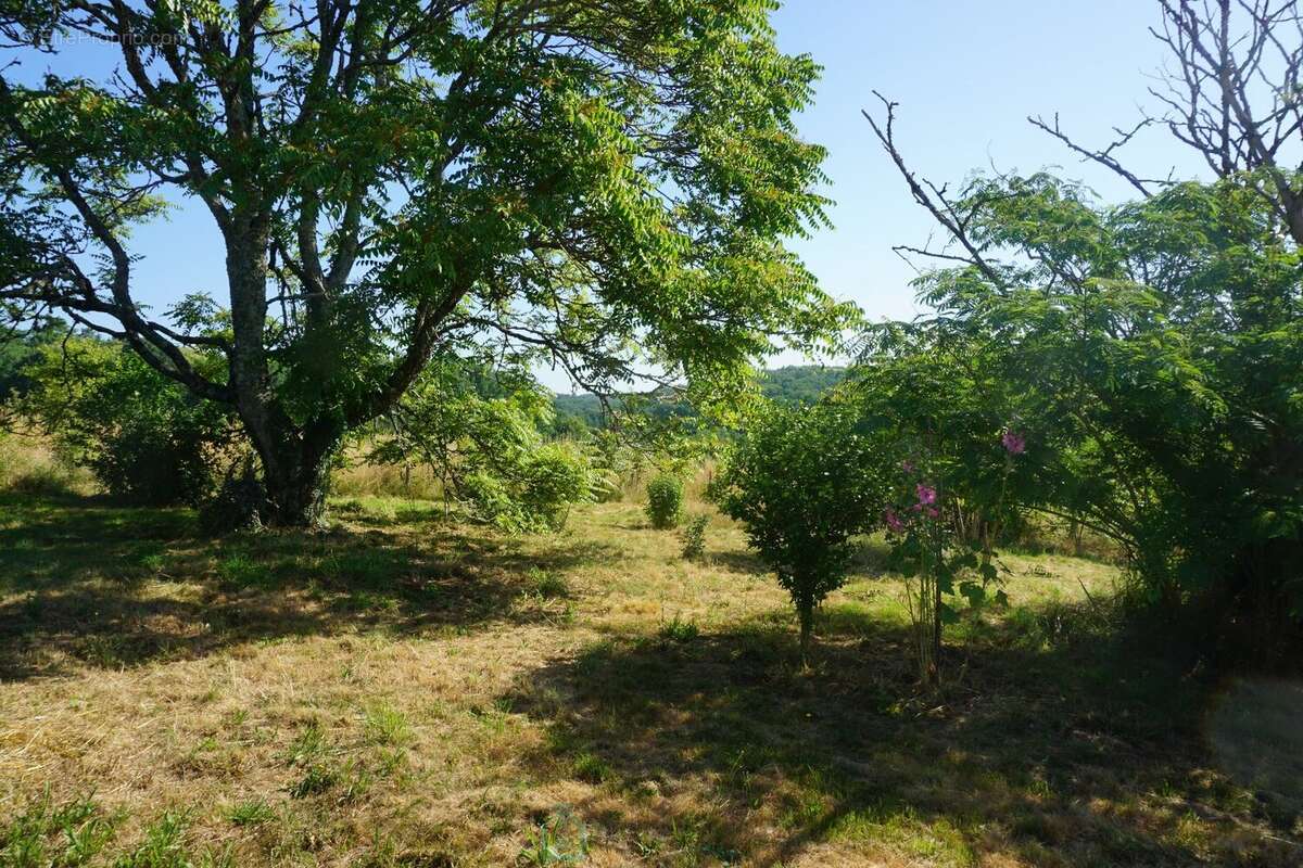 Maison avec dépendances dans le coeur du parc naturel régional Périgord-Limousin. - photo 7