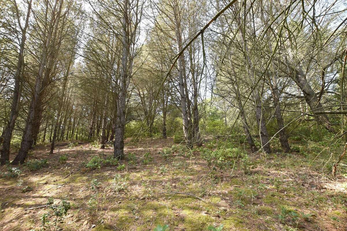 Terrain à BELLEGARDE