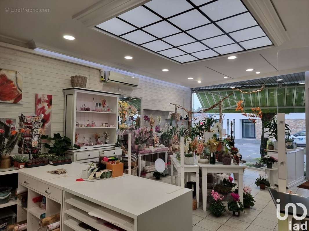 Photo 3 - Commerce à ANCENIS