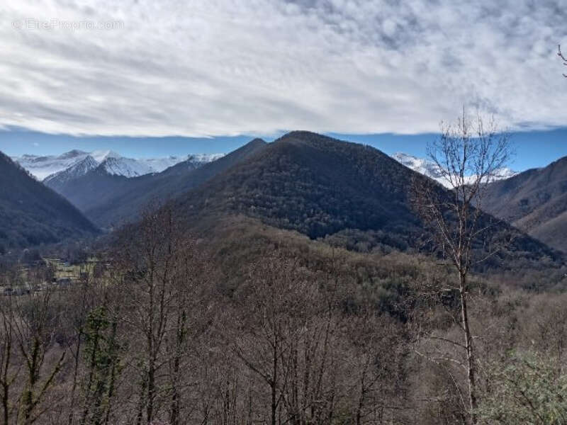 Terrain à CASTILLON-EN-COUSERANS