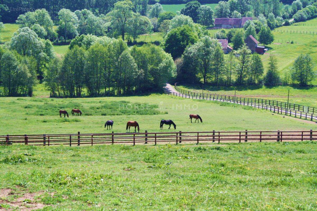 Maison à SAINT-GERMAIN-DE-LA-COUDRE