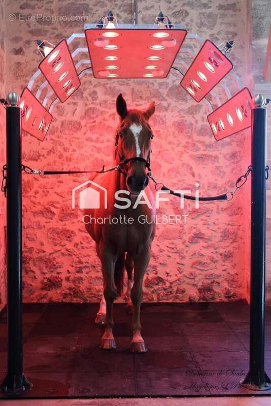 Photo 7 - Maison à SAINT-VINCENT-DE-LAMONTJOIE