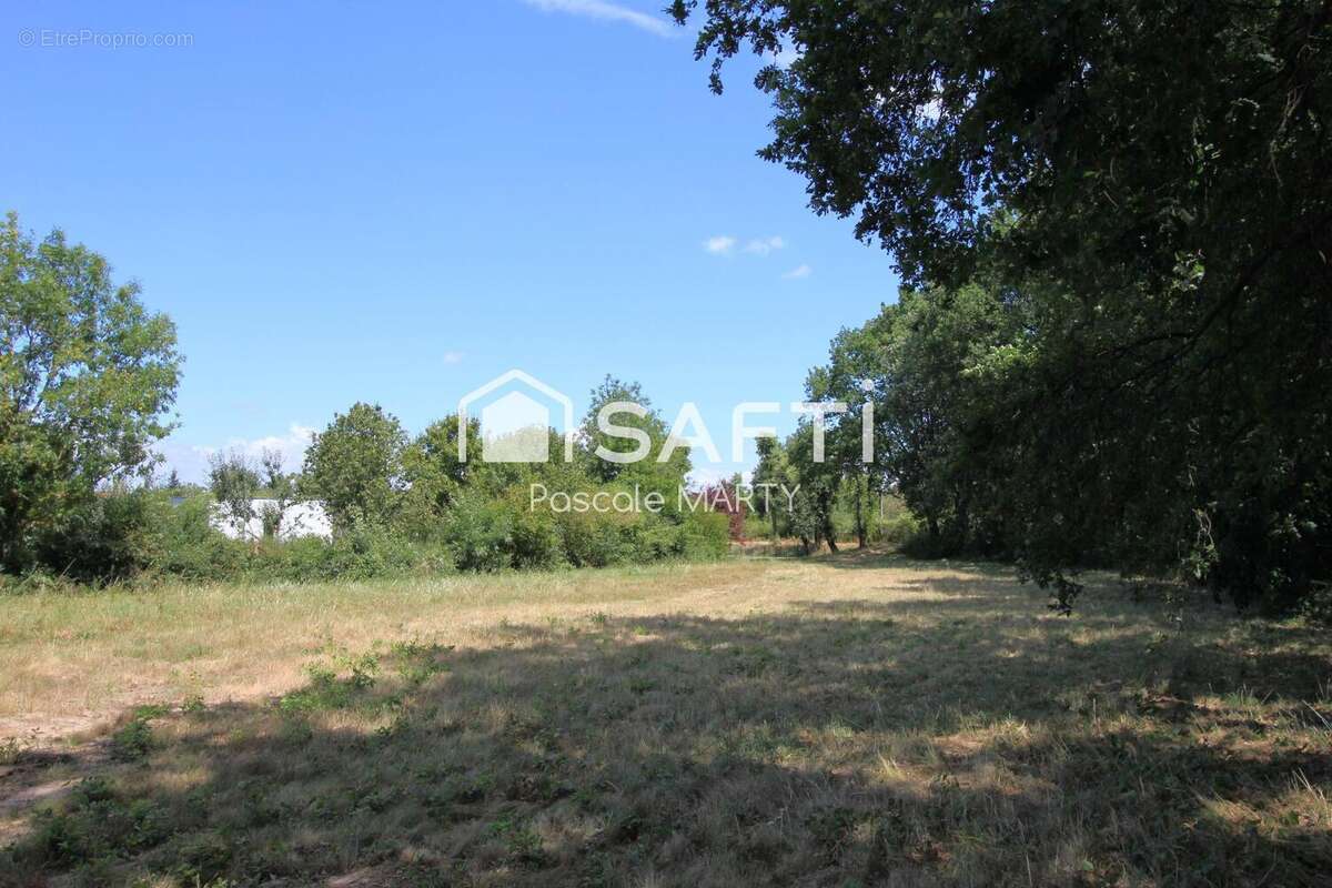 Terrain 1752 m² à Villaudric  - photo 2