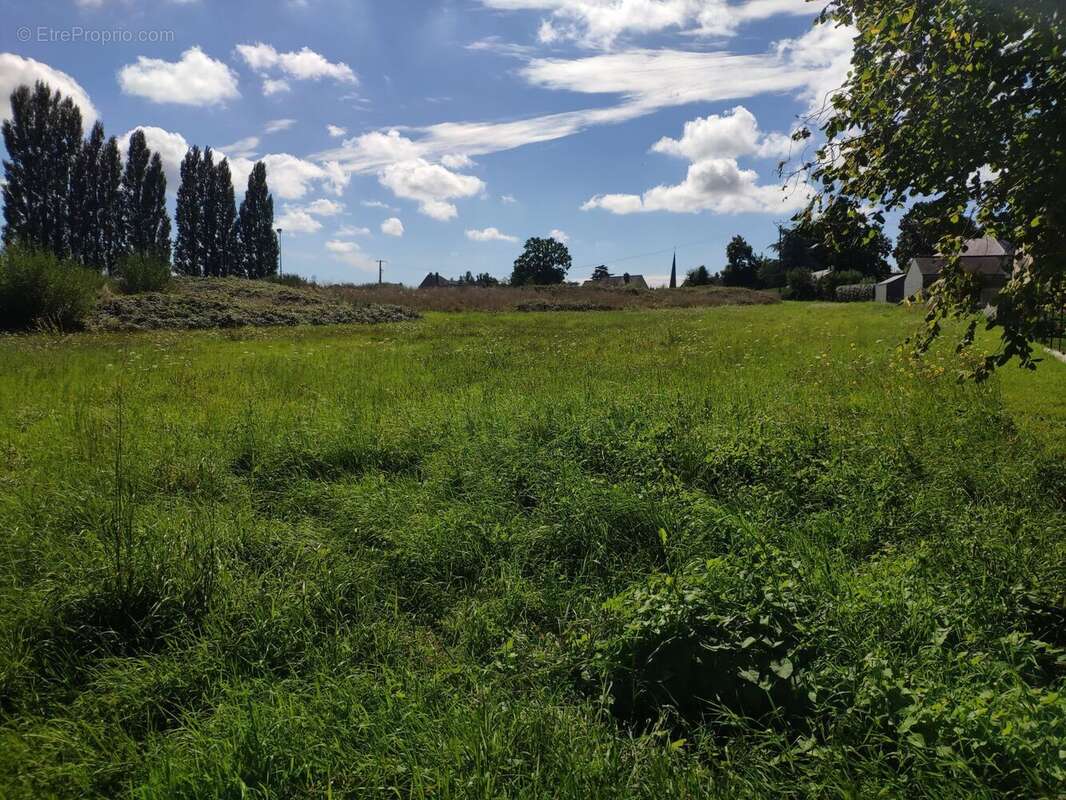 Terrain à QUEBRIAC