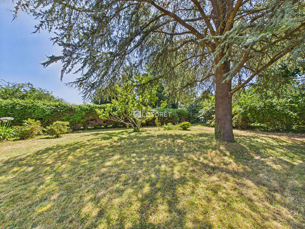 LOCTUDY - MAISON  T6 avec vie de plain-pied - photo 19