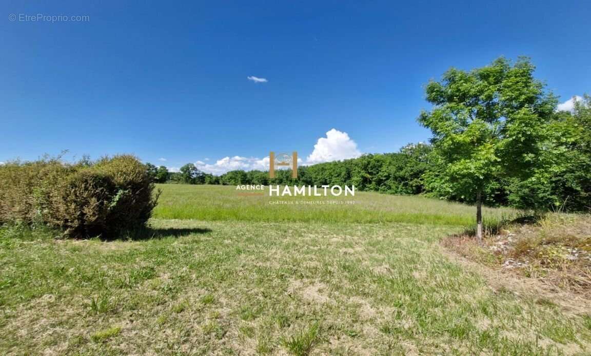 Maison à CORDES-SUR-CIEL