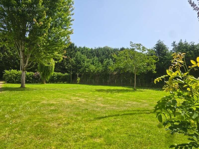 Terrain à MONTBIZOT