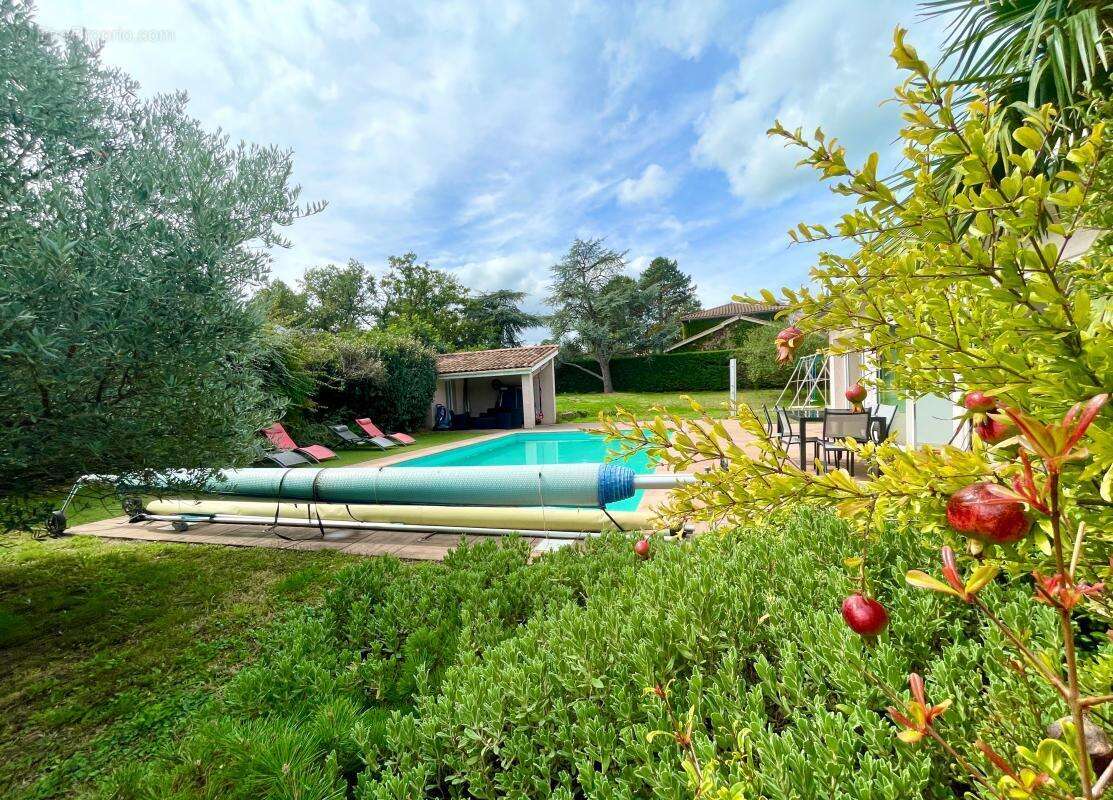 Maison à MARCY-L&#039;ETOILE