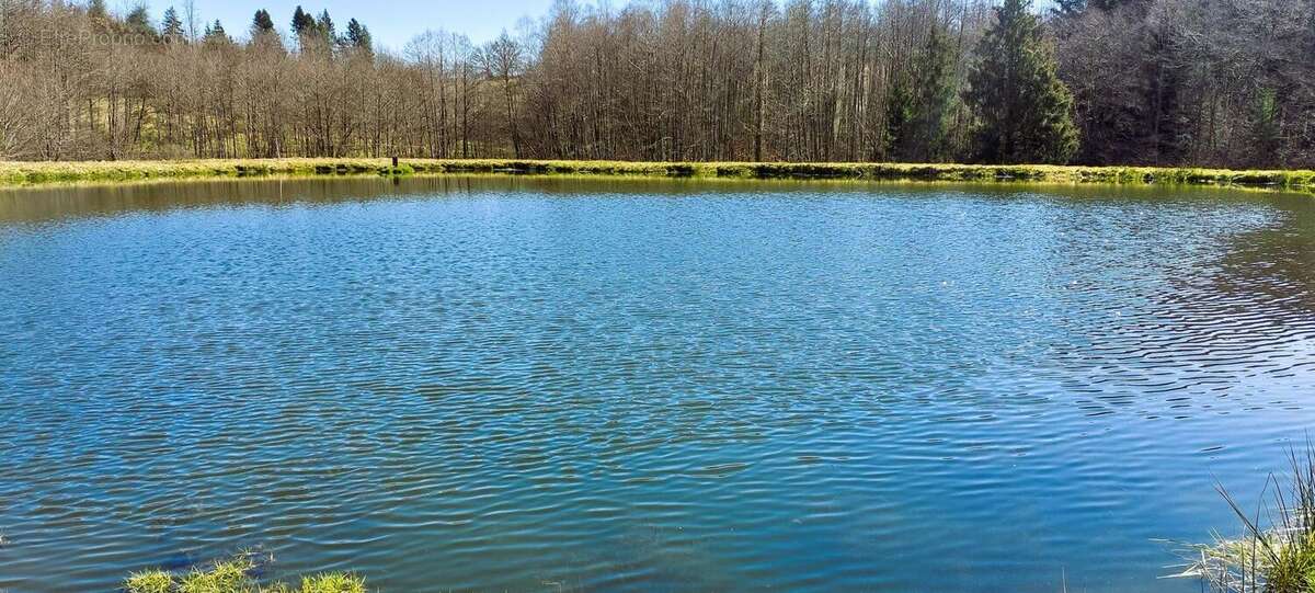 Maison à LA LONGINE