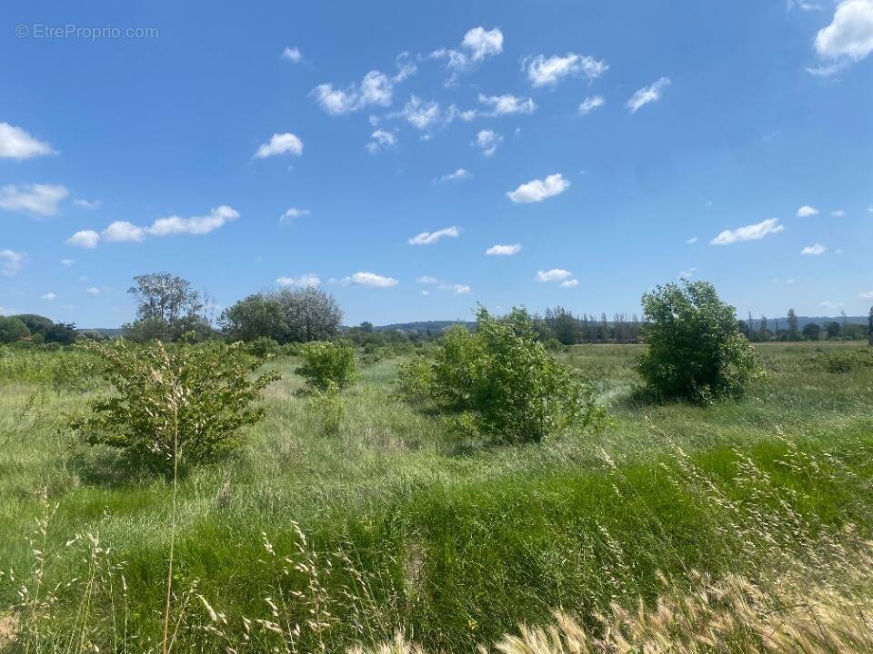 Terrain à COURSAN