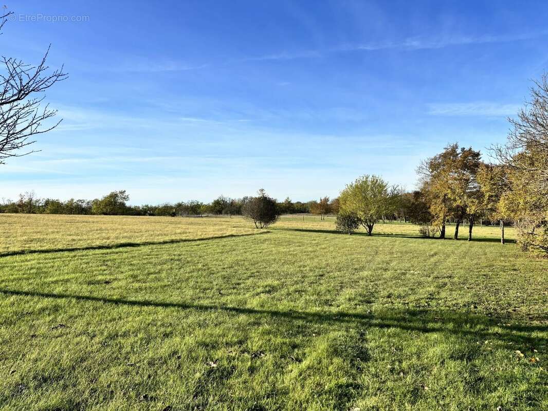 Maison en Pierre Isolée Proche de Montaigu-de-Quercy - photo 14