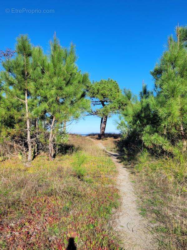 Appartement à BORGO