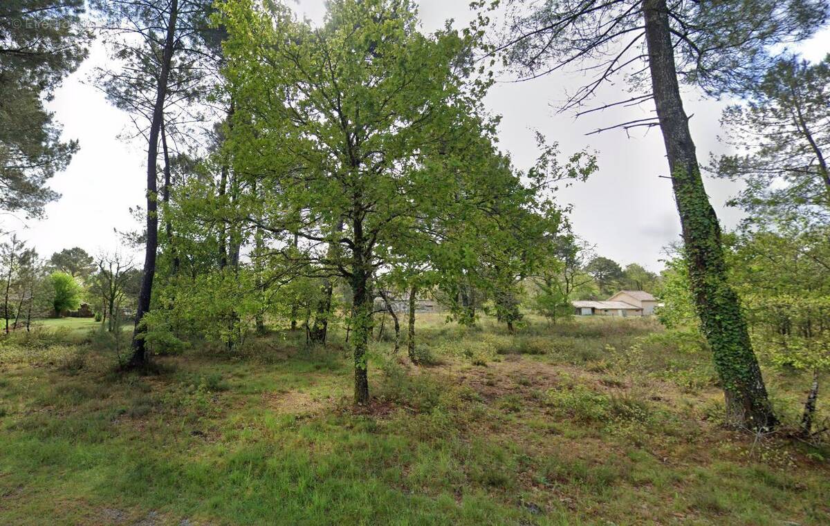 Terrain à ANDERNOS-LES-BAINS