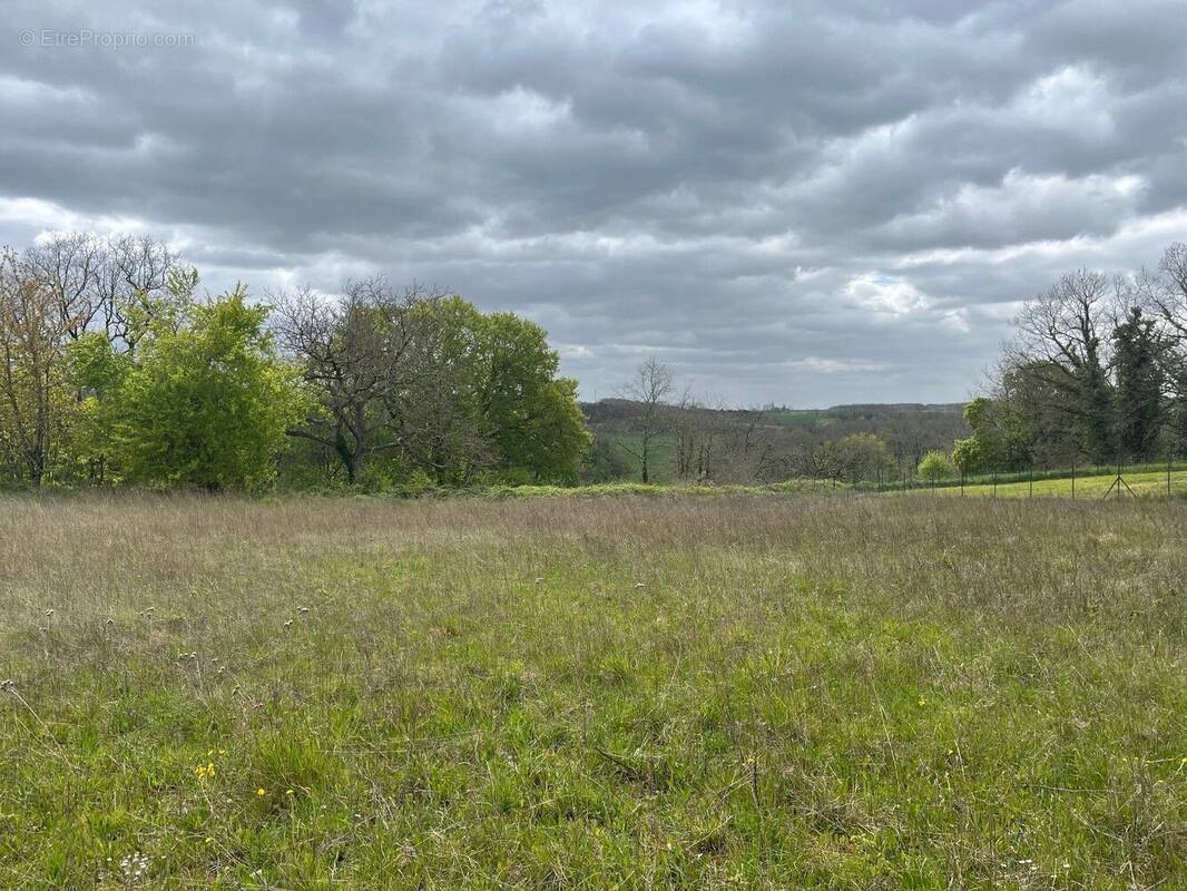 Photo 1 - Terrain à RIBAGNAC