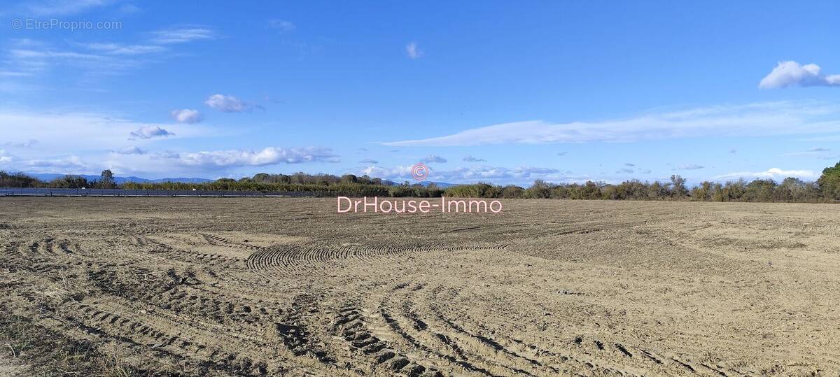 Terrain à TORREILLES