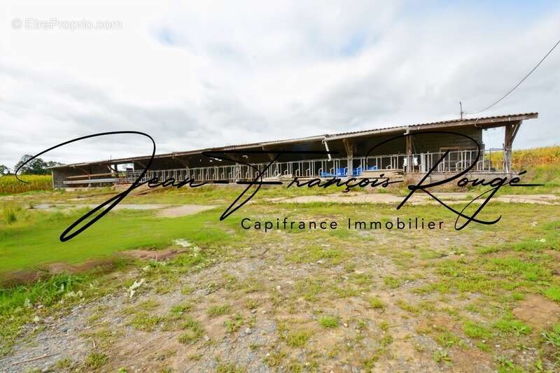 Saint-André de Bohon, ensemble immobilier composé de deux maisons sur 1,3 hectare de terrain !!! - photo 20