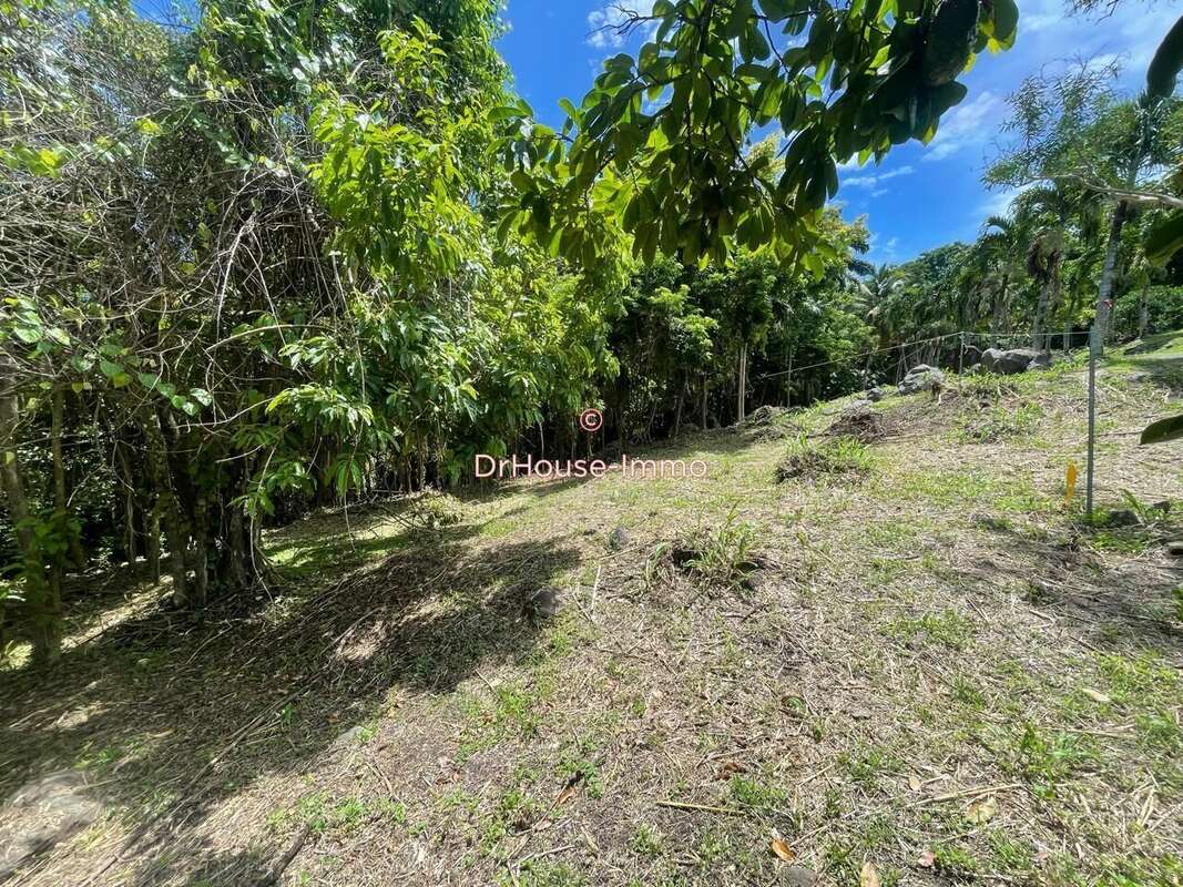 Terrain 809 m² à Bouillante  - photo 2