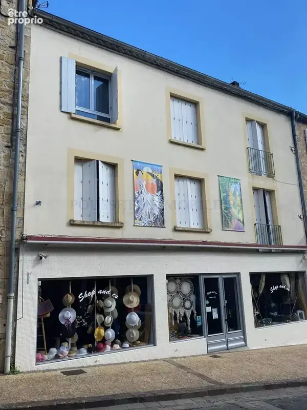Immeuble de rapport en pierre de 204 m² avec cour. - photo 2