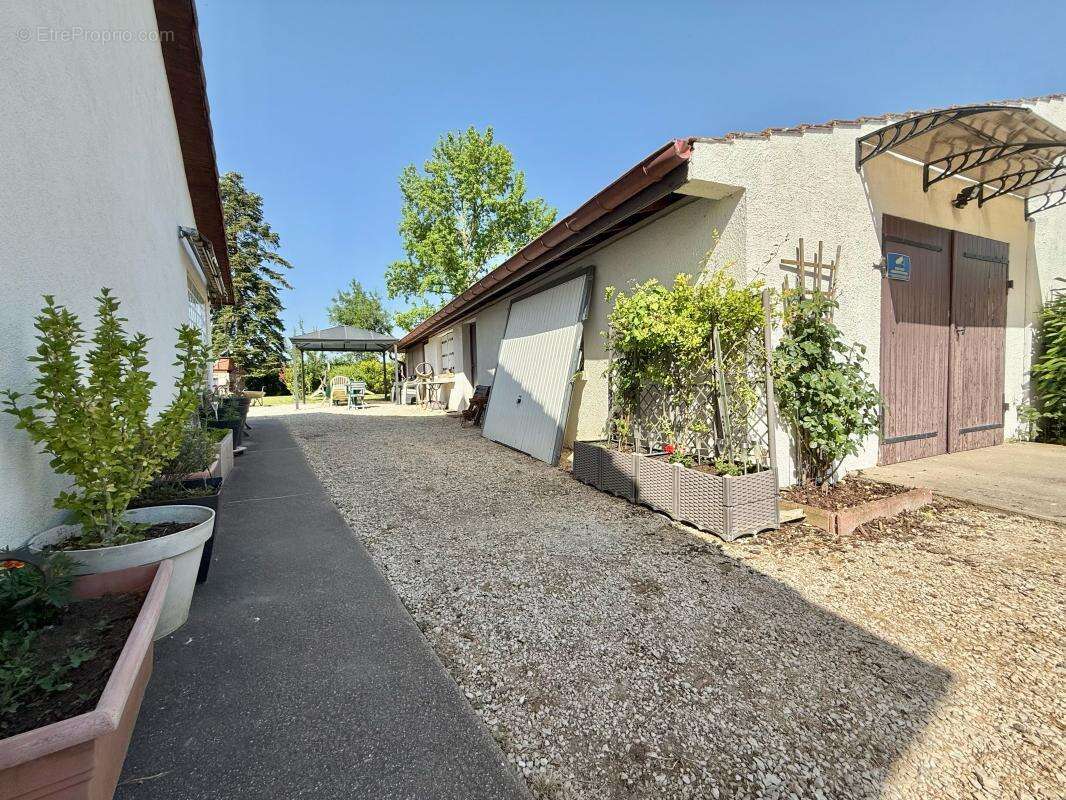 Maison à SERMESSE