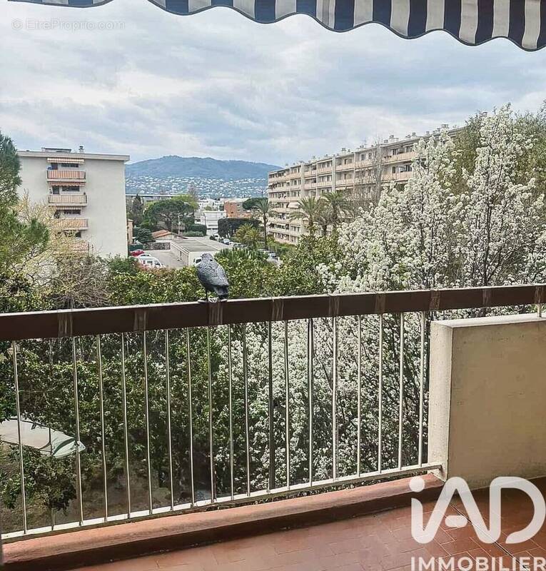 Photo 1 - Appartement à CANNES