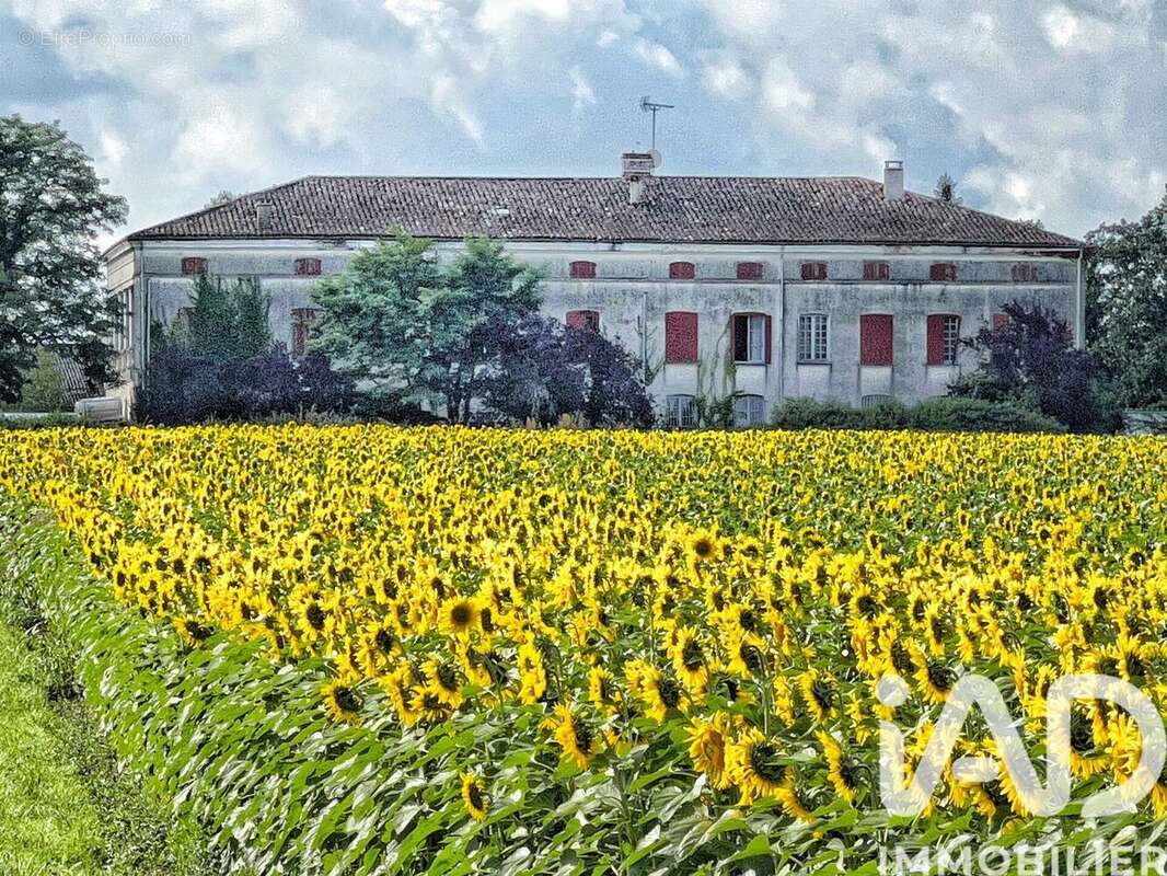 Photo 2 - Maison à CASTELSARRASIN