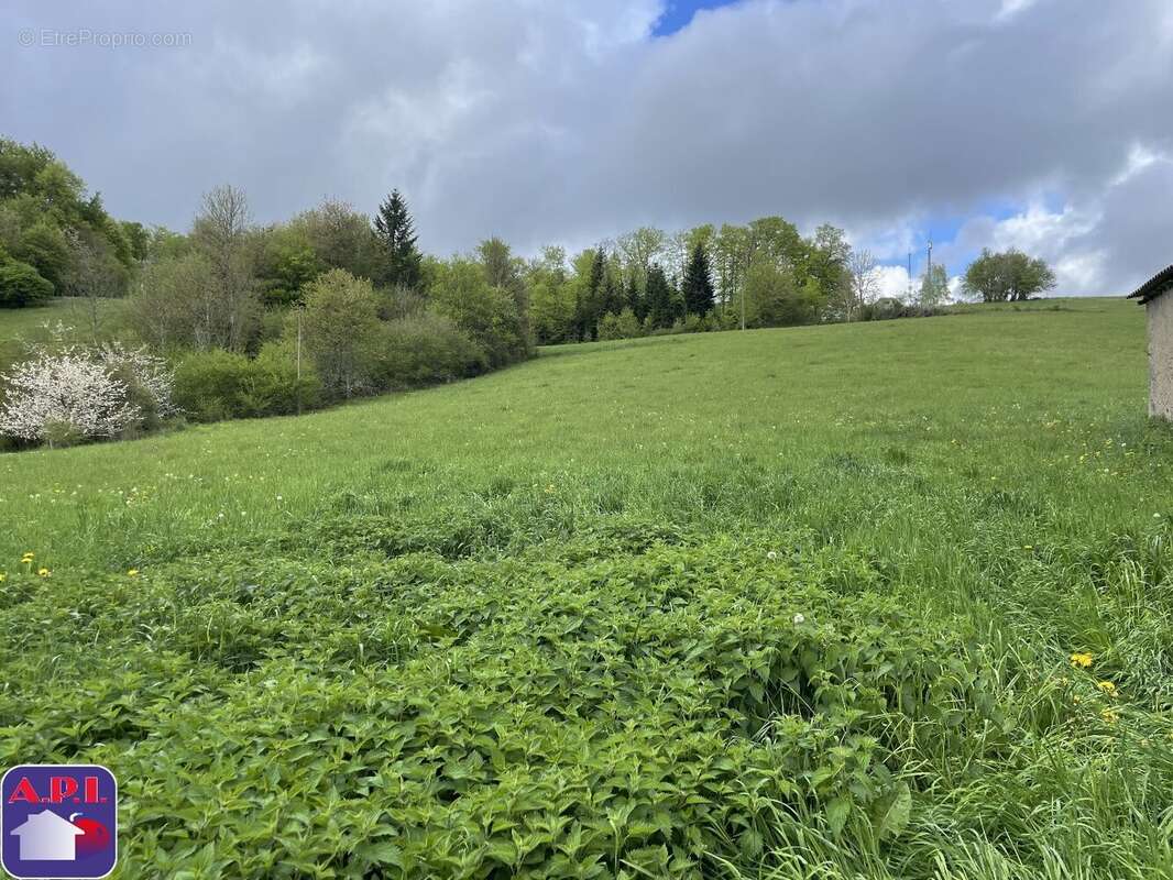 Terrain 799 m² à Roquefeuil  - photo 2