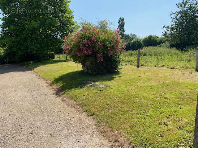 Maison à CHENEDOLLE
