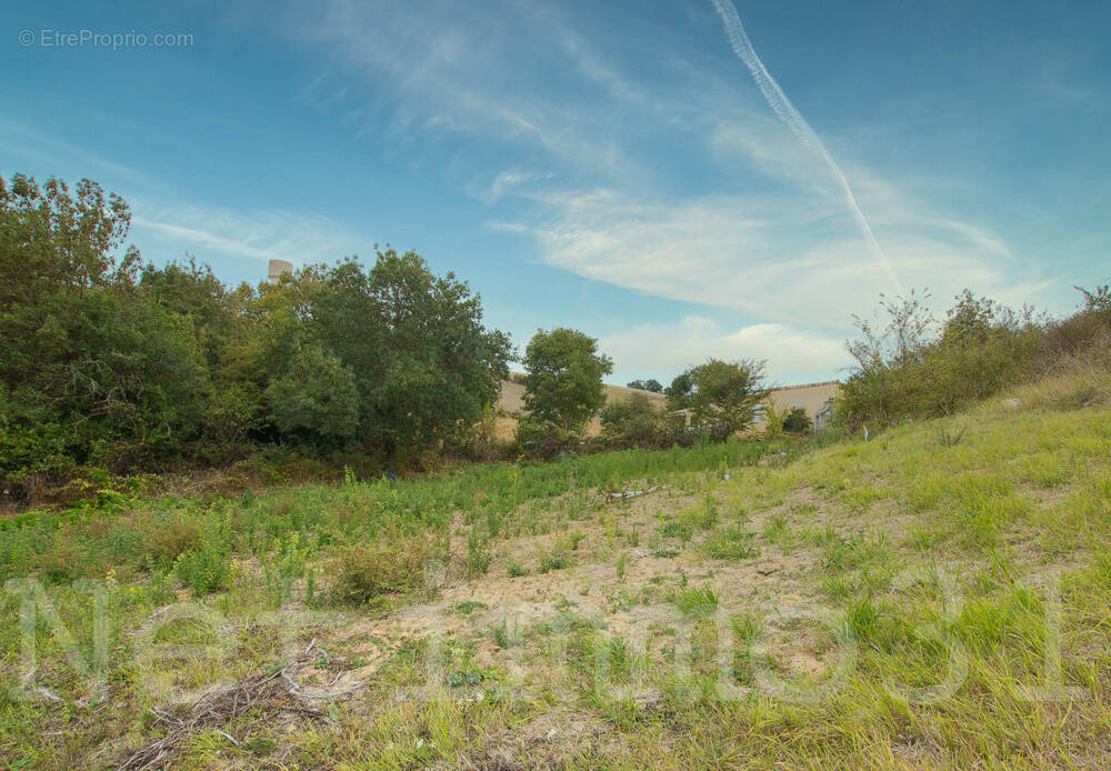 Terrain à CAMBON-LES-LAVAUR