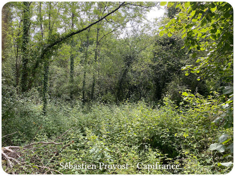 Terrain à SAINT-ROMAIN-ET-SAINT-CLEMENT