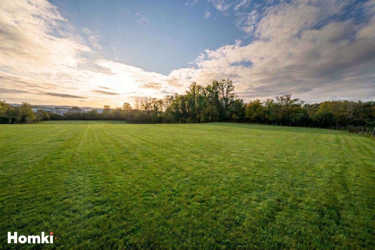 Terrain de 4191 m² à Neuville-sur-Ain 01160, Rue Principale - photo 2
