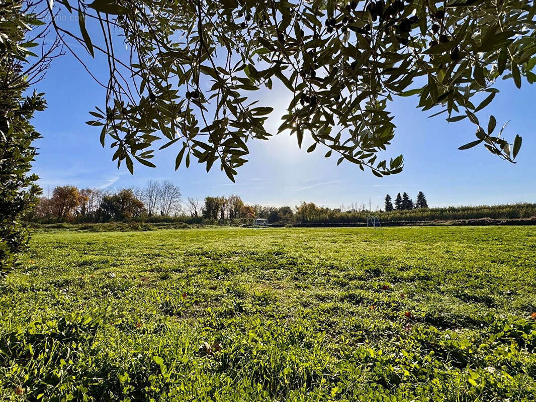 Mas de 400 m² entièrement restauré avec piscine sur 6 000 m² de jardin. - photo 16