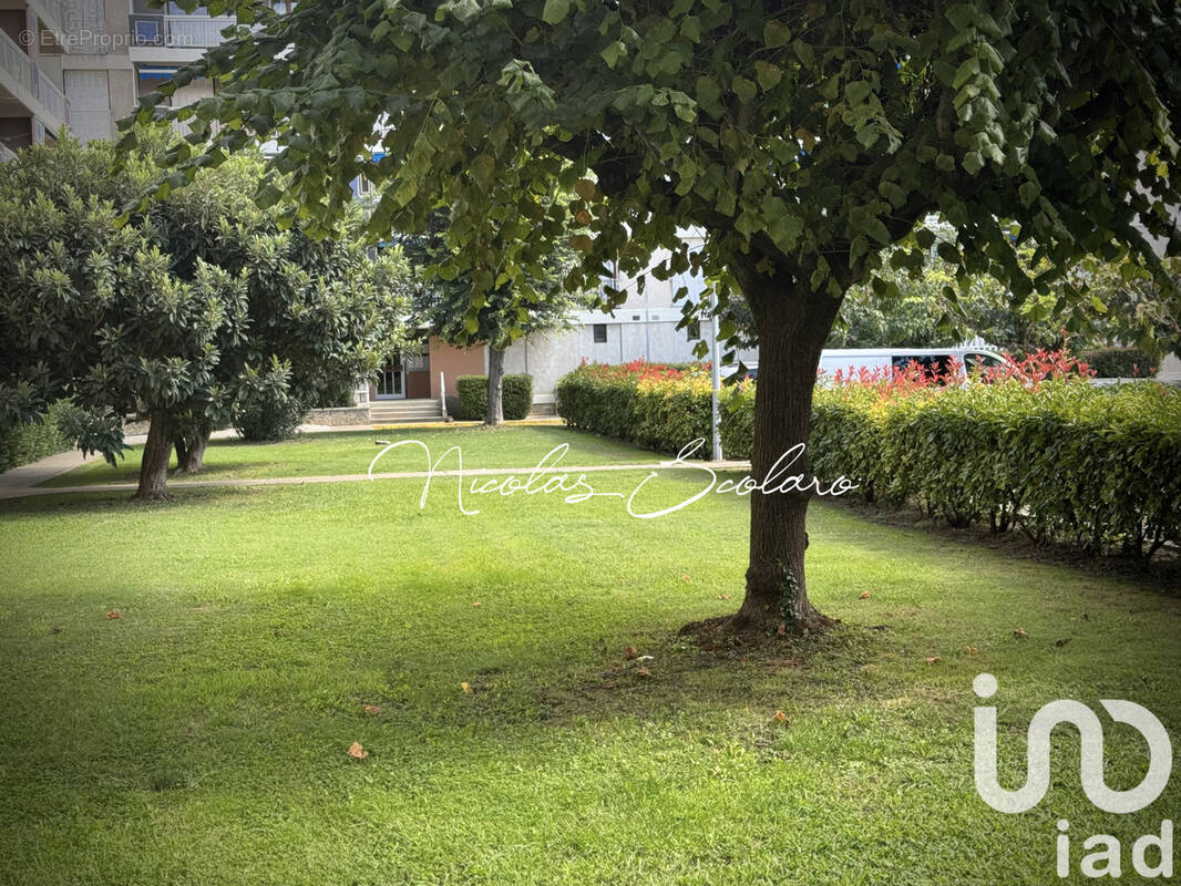 Photo 1 - Appartement à AVIGNON