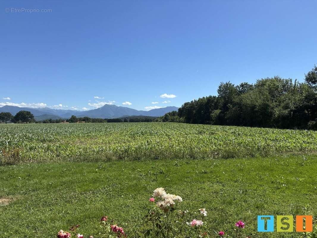 Maison contemporaine de 2024  DPE A  Vue exceptionnelle sur les Pyrénées - photo 2