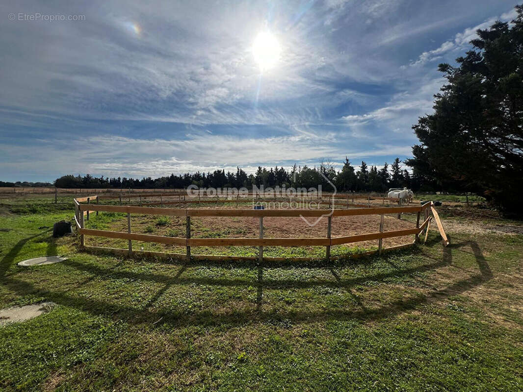 Maison à MARSILLARGUES