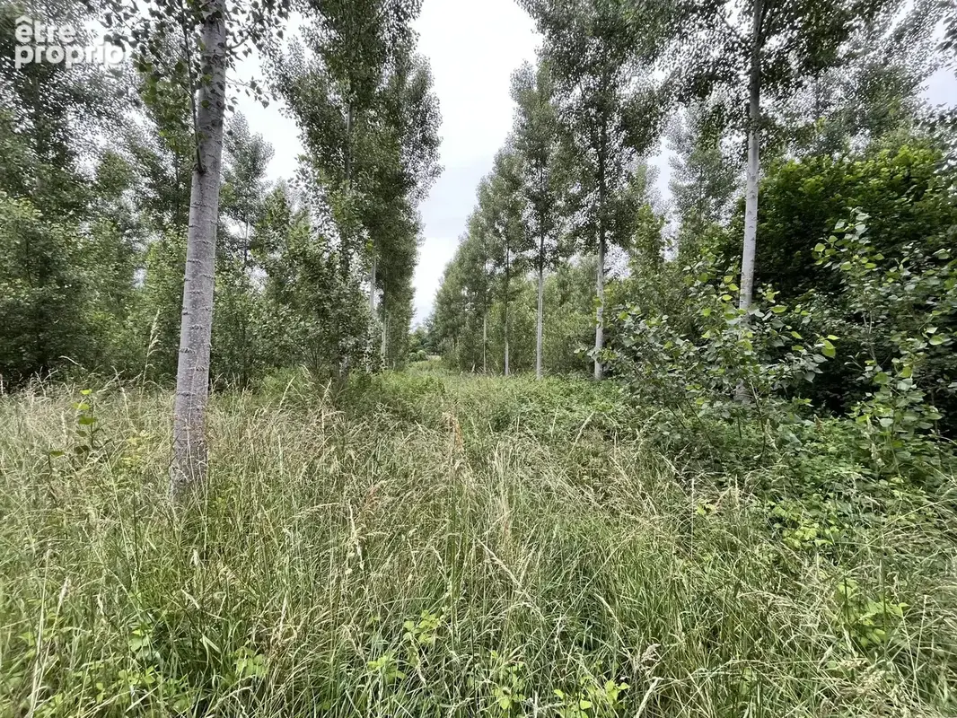 Vente Terrain Fismes(51170) 198 000ï¿œ - photo 5