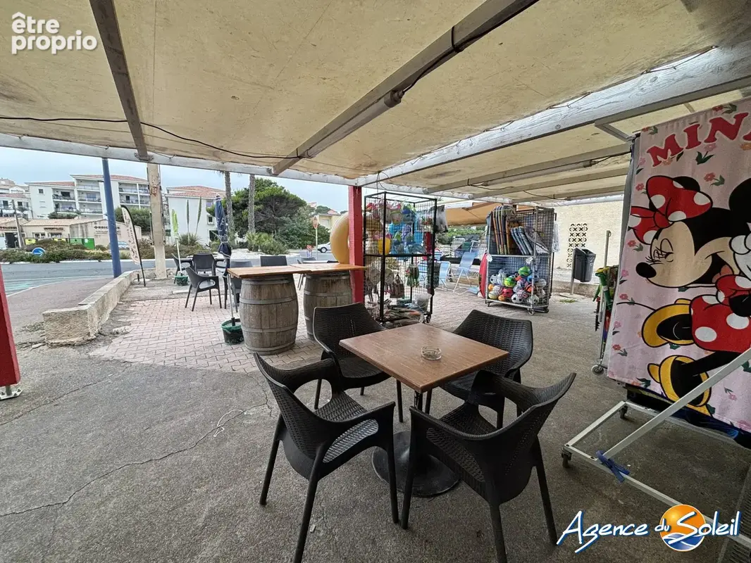 Commerce 100 m² à vendre à Fleury (11560) - photo 3