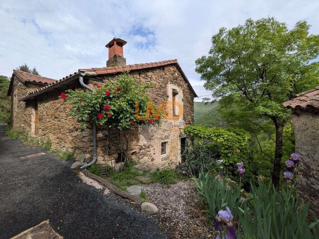 Maison de caractère au cœur des Cévennes - photo 21