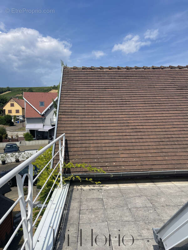 Nordheim - Maison d’architecte aux volumes remarquables 310m2 avec appartement indépendant - photo 29