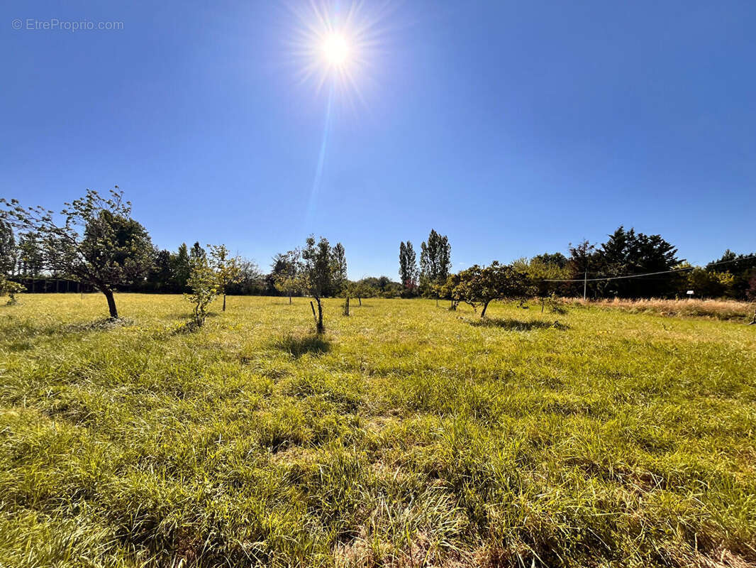 Maison à AMBARES-ET-LAGRAVE