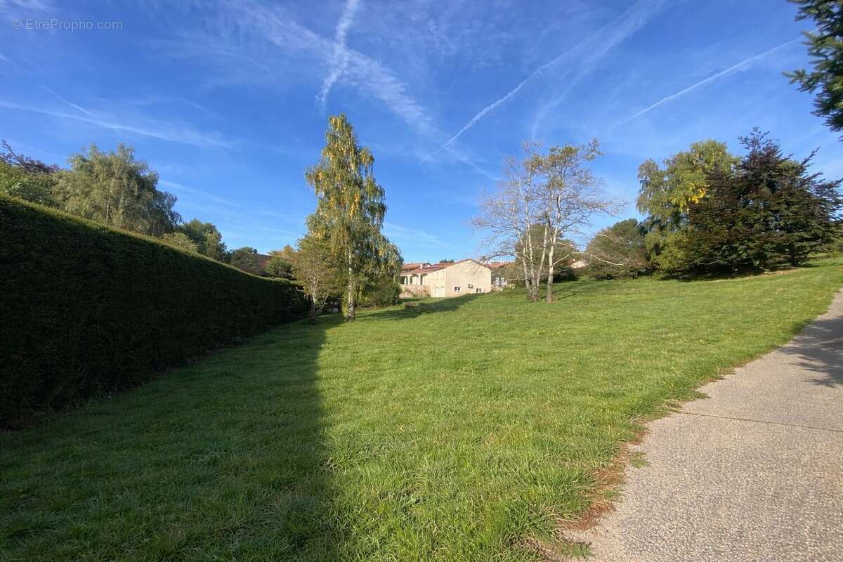 Terrain à SAINT-DIDIER-EN-VELAY