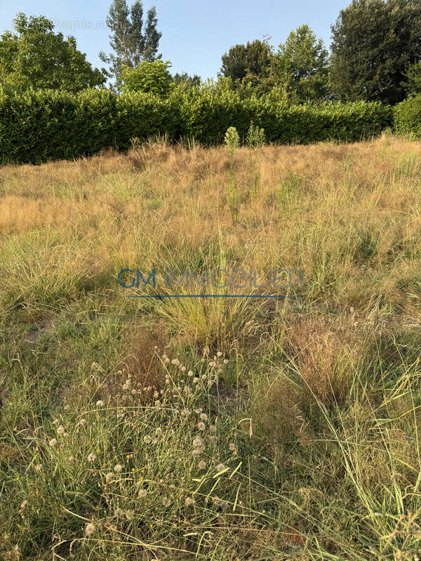 St Paul les Dax - Parcelles de terrains libre ! - photo 4