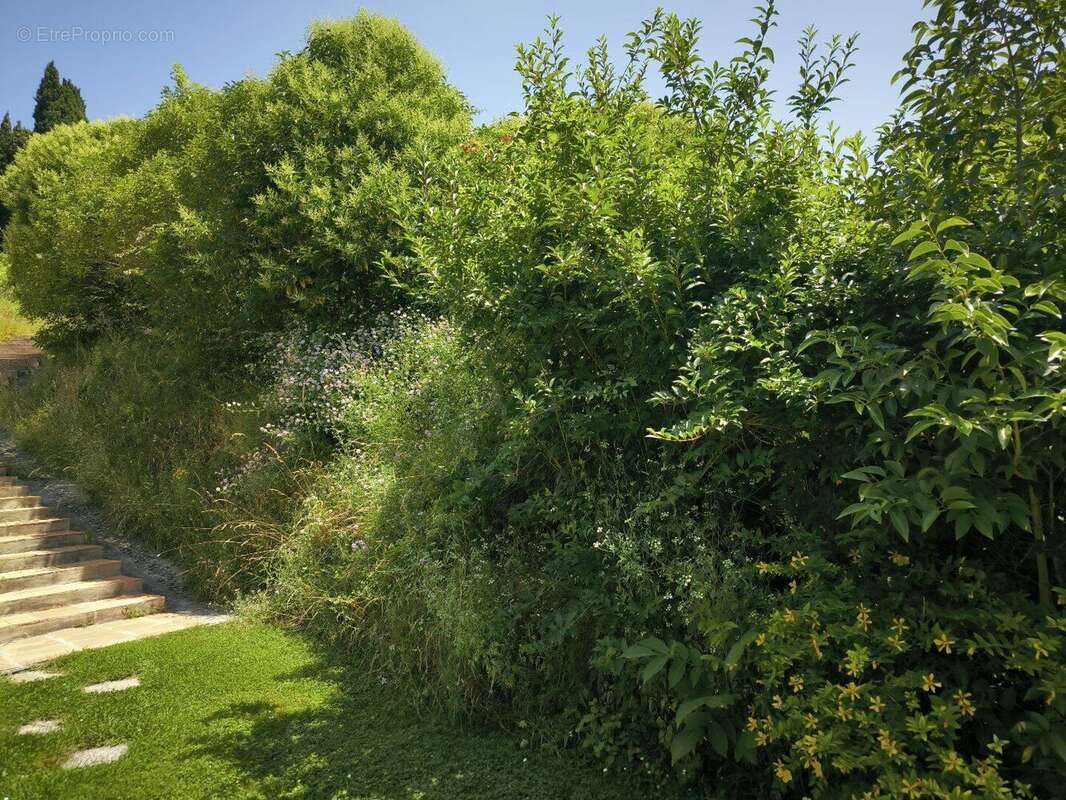 Bel ensemble immobilier  10 ' Mirepoix - photo 17