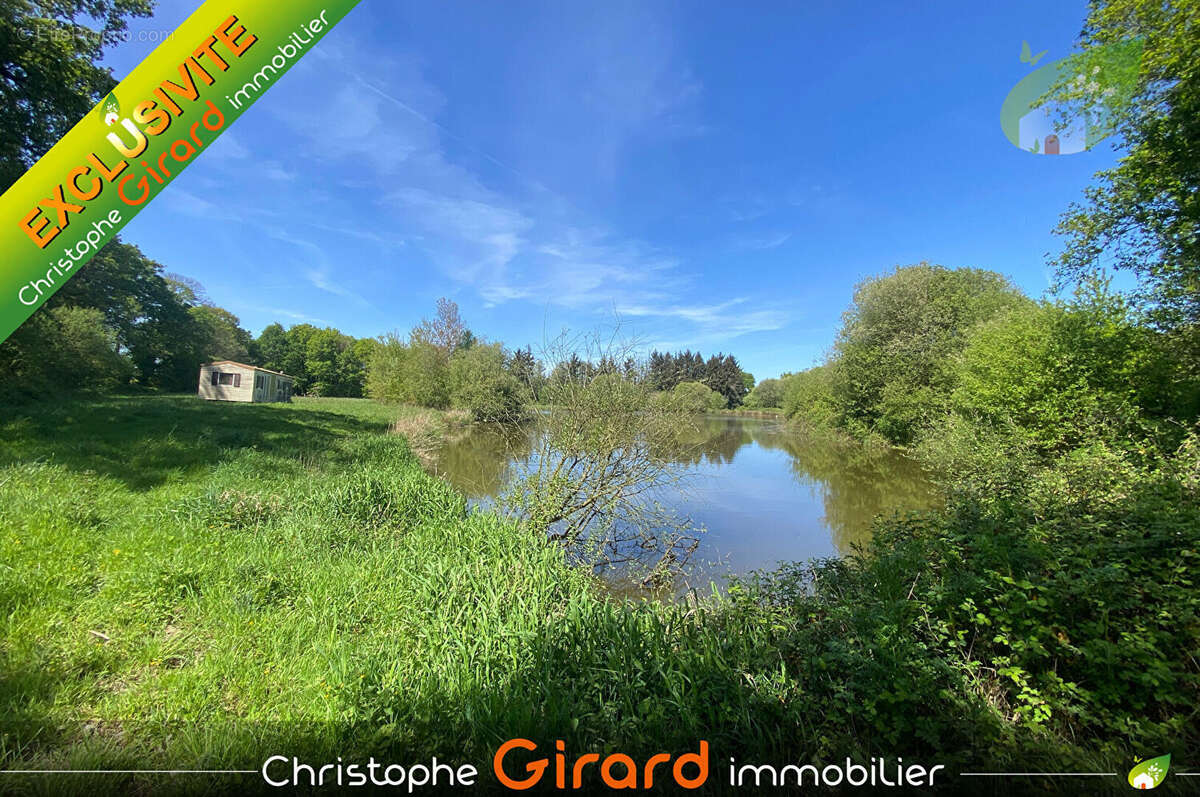 Terrain  etang a vendre  a vignoc  (35630) - 30 825 m² - photo 3
