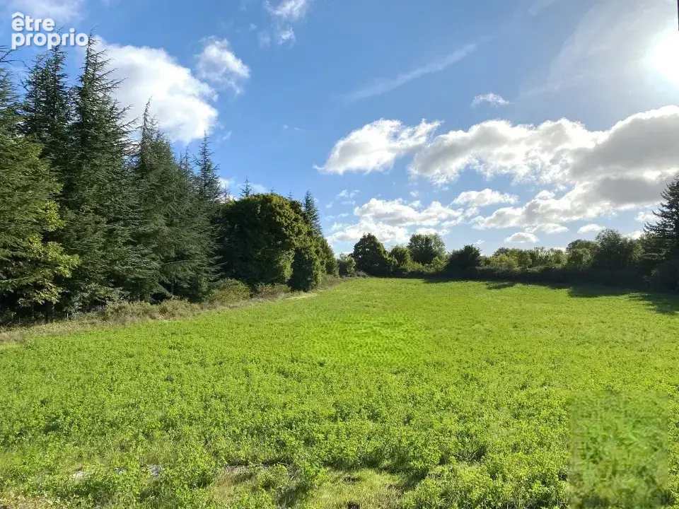 Terrain 905 m² à vendre à Pezenas (34120) - photo 4