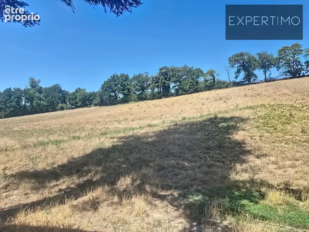 Propriété de caractère isolee  avec 8 hectares et grandes dépendances   aveyron - photo 30