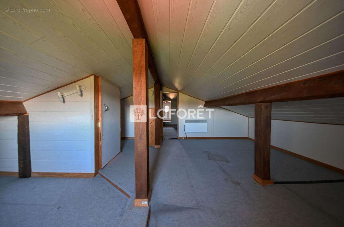 Maison à LISLE-SUR-TARN