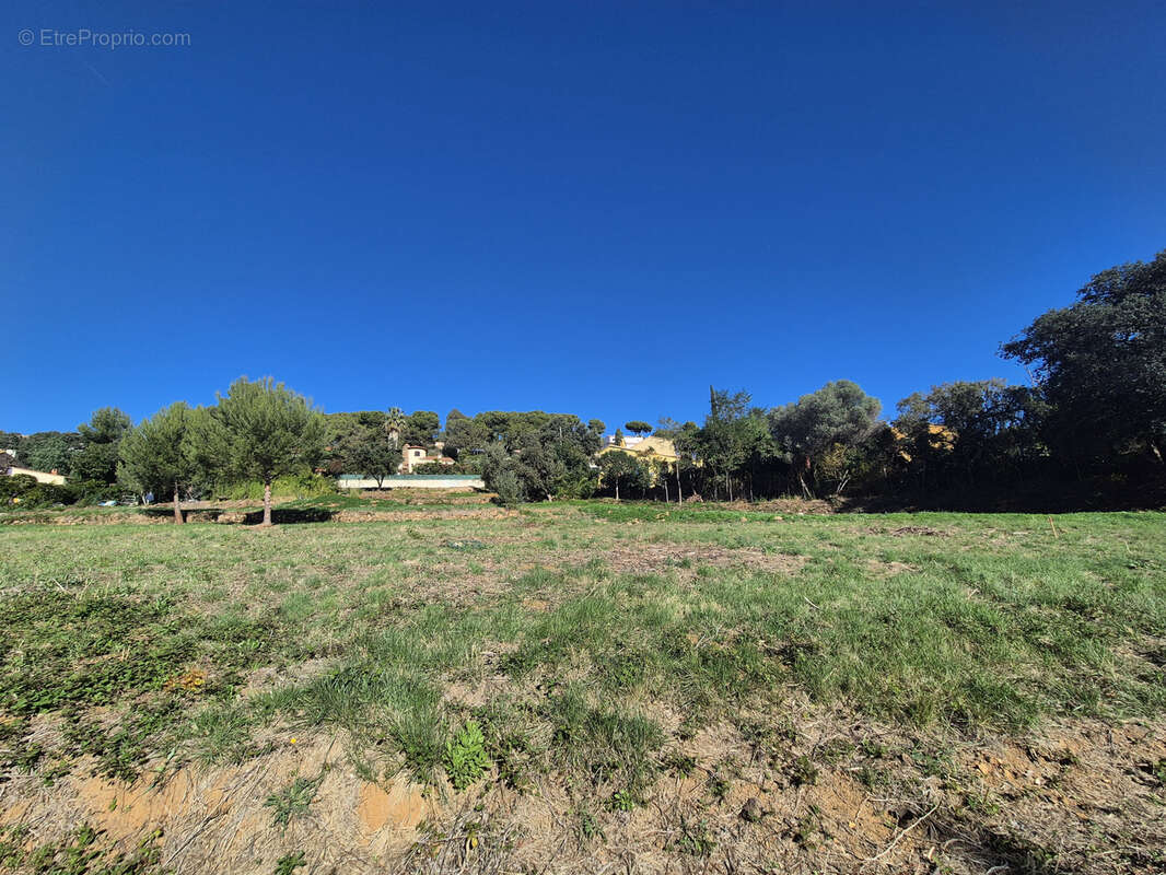 Terrain à LE PRADET