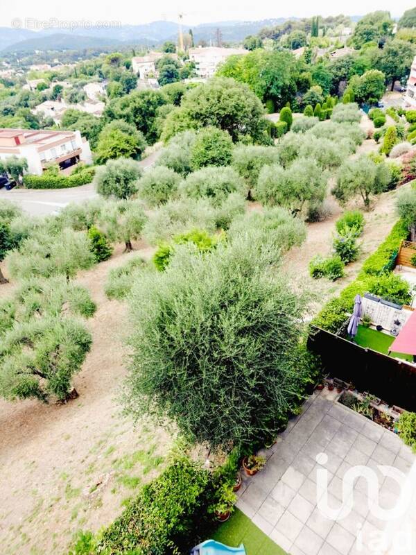 Photo 1 - Appartement à GRASSE