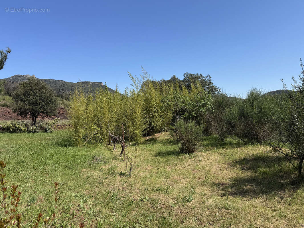 Terrain à SAINT-JEAN-DE-LA-BLAQUIERE